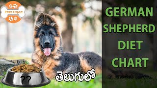 German Shepherd Diet Chart  In Telugu [upl. by Miarzim]