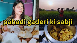 pahadi gaderi ki sabji aise bnaye🍲🍲😋 masaledar tasty sabji 😋 [upl. by Pallua443]