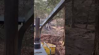 Logging with a timberjack 🪓 logging stihl loggingvideos loggerlife woods [upl. by Marta]