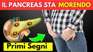 Il Tuo Corpo Piange di Problemi al Pancreas I primi segni di malattia pancreatica [upl. by Gessner]