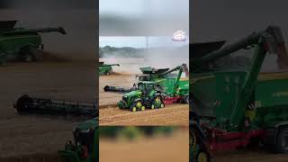 The Future of Agriculture HighTech Wheat Harvesting agriculture technology shorts [upl. by Haerb]