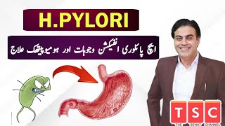 H Pylori Infection Treatment UrduHindi  Stomach Ulcer Treatment  Helicobacter Pylori Symptoms [upl. by Enahsal996]