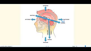 Kanski Clinical Ophthalmology Made Easy  Neuro ophthalmology 12 oculomotor nerve palsy [upl. by Anairdna]