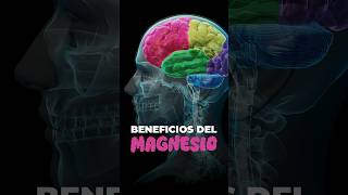 El Magnesio Mejora tu SUEÑO y Reduce la ANSIEDAD  Beneficios del MAGNESIO [upl. by Dot]