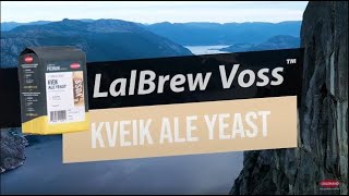 LalBrew Voss™ Kveik Levadura de cerveza [upl. by Wehtta]