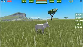 A new animal in playbox safari [upl. by Ecnarrot]