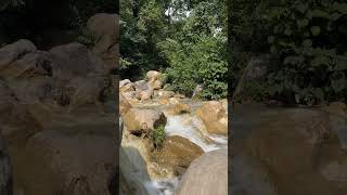 Secret waterfall Rishikesh nature forest relaxing naturelovers birds waterfallsounds relaxin [upl. by Ahselrak805]