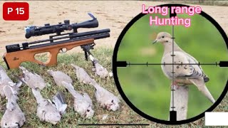 Air gun p15 pcp air gun sr1000s air gun birds hunting doves hunting [upl. by Dimitry]