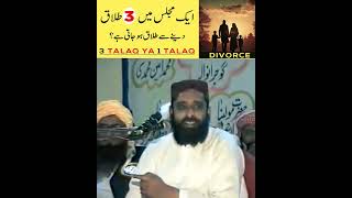 3 Talaq Ya 1 Talaq  Islam Main Talaq Dne Ka Tarika  Syed Sibtain Shah Naqvi Eye Opening Clip [upl. by Delwin99]