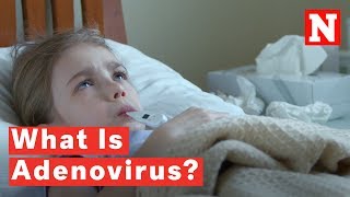 What Is Adenovirus [upl. by Ahsitra]