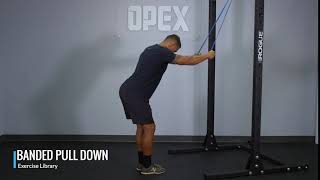 Banded Pulldown  OPEX Exercise Library [upl. by Torr748]