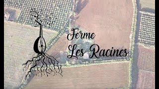 Ecoferme dhôtes les racines Ain taoujdate [upl. by Trevar]