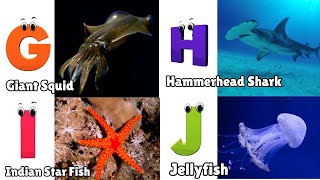 Sea Animals ABC Song for Toddler  Phonics for Kids  Alphabet Letters [upl. by Aikimat]