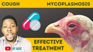 How to Treat Cough in Chickens Chronic Respiratory Disease in Poultry [upl. by Jar]