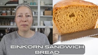 How to make and easy EINKORN sandwich loaf [upl. by Heida]