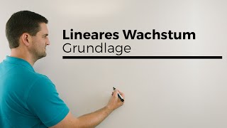 Lineares Wachstum alleine als Grundlage danach exponentielles Wachstum  Mathe by Daniel Jung [upl. by Hildie]