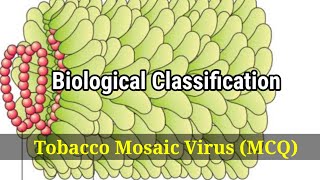 Biology  Biological classification  Virus  tobacco mosaic virus  tmv [upl. by Vish]