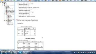 How to calculate a 2x2 Factorial ANOVA using SPSS [upl. by Elka]