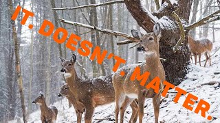 Late Season Doe Harvest [upl. by Horatia114]