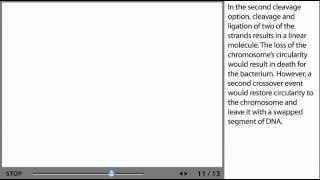 Recombination Process Animation from Microbiology 2e [upl. by Mauchi]