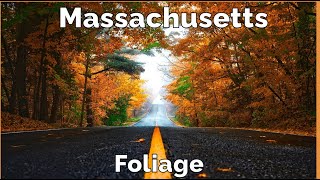 Massachusetts Foliage  Highway view  Part 2 [upl. by Esserac]