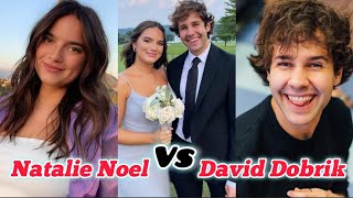 Natalie Noel Vs David Dobrik Lifestyle Relationship Biography Age Height Weight Net Worth 2024 [upl. by Schacker]