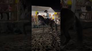 Caballo bailador de Lujo [upl. by Evoy992]