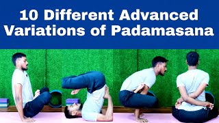 How To Do PadamasanaAdvanced Variation Of Padam AsanaDifferent Variation Of PadamasanaYoga Saathi [upl. by Llewol]