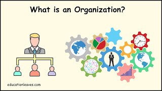 What is an Organization  Elements Process importance of Organization [upl. by Salvay]