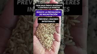 El Poder del Arroz Integral 🍚 5 beneficios nutricionales que amarás 🥳👍 [upl. by Adnolay152]