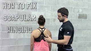 How to Fix Scapular Winging  A Case Study with Exercises [upl. by Alan]