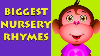 Nursery Rhymes Collection  Wheels On The Bus  Five Little Monkeys  Finger Family [upl. by Gregory]