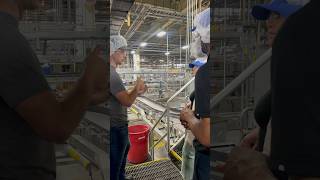 Touring AnheuserBusch in Fairfield California beer MakingCA [upl. by Chemaram711]