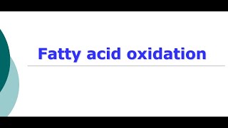 Fatty Acid Oxidation I Beta Oxidation I Omega oxidation [upl. by Enimzaj143]