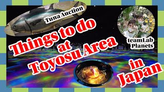 tuna auction teamLab Things to do at Toyosu area in Japan [upl. by Abdella]