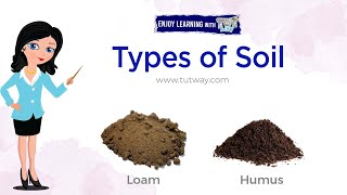 Types of Soil  Loam Humus  Components of Soil  Properties of Soil  Soil Types  Science [upl. by Nayra978]