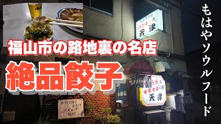 【福山市】福山人にとってのレジェンド餃子 餃子と中華そばの店天津 餃子 福山市グルメ 福山市 [upl. by Lytton]