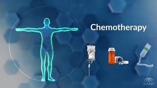 How Chemotherapy Works  Central Principles of Molecular Biology [upl. by Alah956]