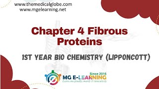 Chapter 4 Fibrous Proteins Protein Structure and Function Lippincott [upl. by Arraik200]