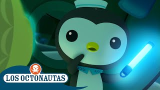 Los Octonautas  Temporada 1  Episodio 35 completo  Episodios Completos [upl. by Sitto]