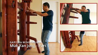 Wing Chun WOODEN DUMMY Part 1 [upl. by Marron259]