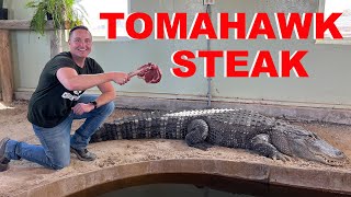 Feeding My Alligators GIANT STEAKS [upl. by Eetsirhc]