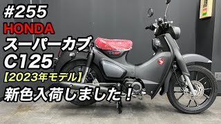 スーパーカブC125 新型 2023年モデルが入荷致しました♪国内正規モデルのマットグレーです！ [upl. by Lenny]