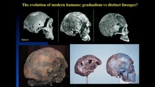 CARTA The Origin of Us  Fossils of Modern Humans Interbreeding within and outside of Africa [upl. by Garbe]