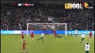 Darron gibson goal wales [upl. by Hameean775]