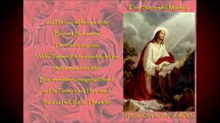 Rosary Novena  Sorrowful Mysteries  In Petition [upl. by Hillard]