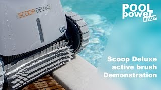 Poolroboter Dolphin Scoop Deluxe active brush Demonstration [upl. by Cooperstein]