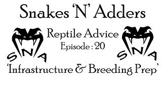 Snakes N Adders Reptile Advice  Episode  20 infrastructure amp breeding prep [upl. by Etteyniv524]