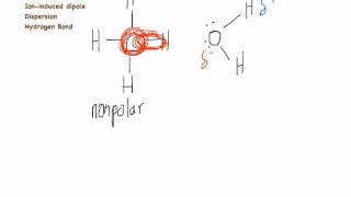 Intermolecular Forces 1 [upl. by Alameda321]