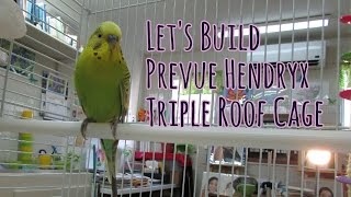 Lets Build Prevue Hendryx Cage [upl. by Yacov]